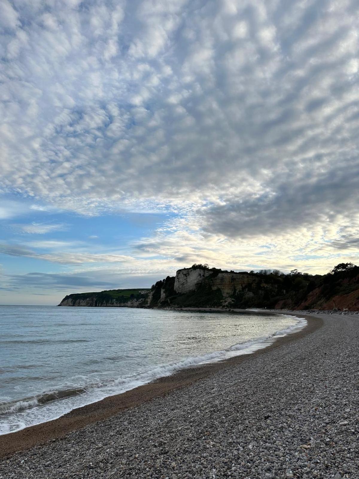 Nutshell * Seaton (Devon)